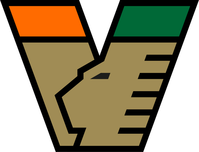 Venezia Fc