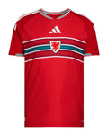 Camiseta Gales 2026 - 1ª Equipación