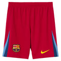 Pantalón Corto Fc Barcelona 2025/26 - 4ª Equipación