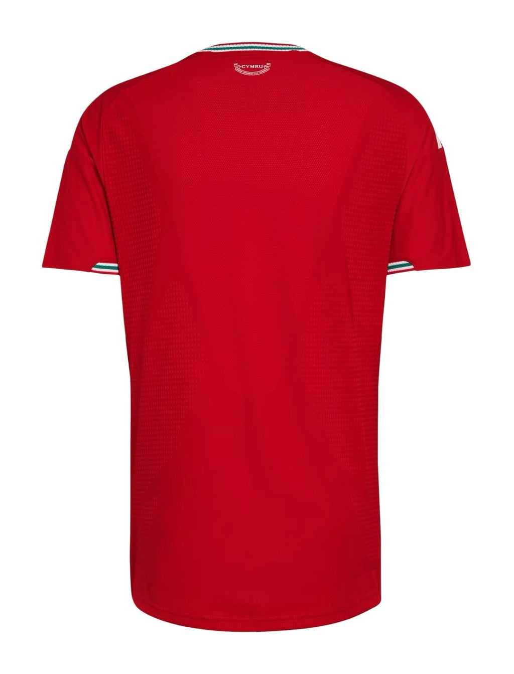 Camiseta Gales 2026 - 1ª Equipación