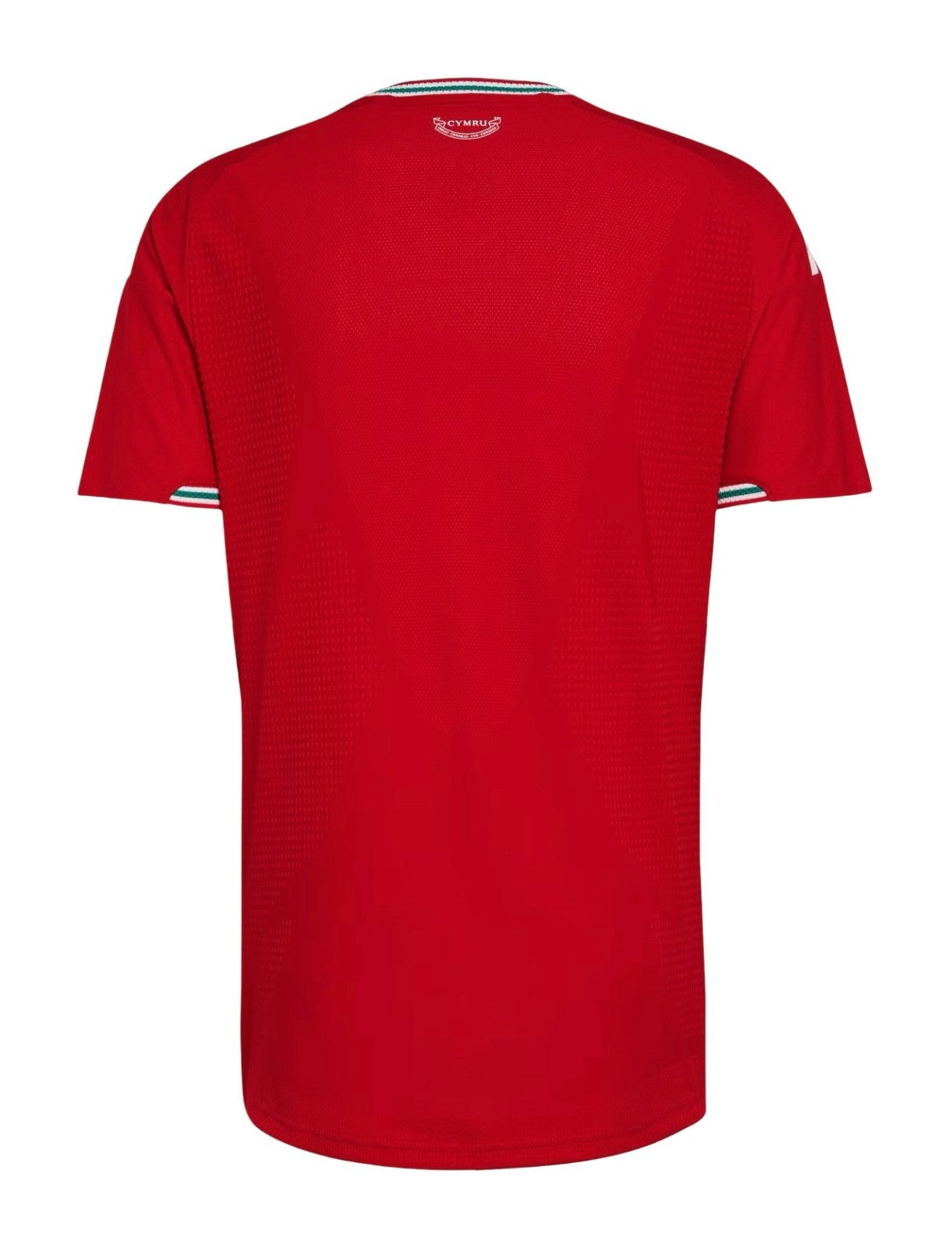 Camiseta Gales 2026 - 1ª Equipación
