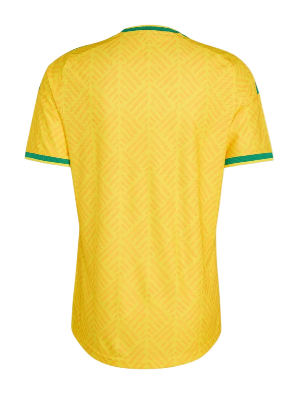 Camiseta Sudáfrica 2026 - 1ª Equipación