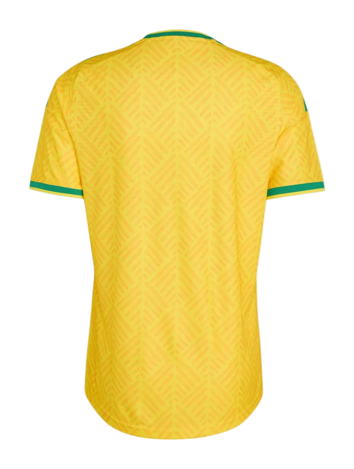 Camiseta Sudáfrica 2026 - 1ª Equipación