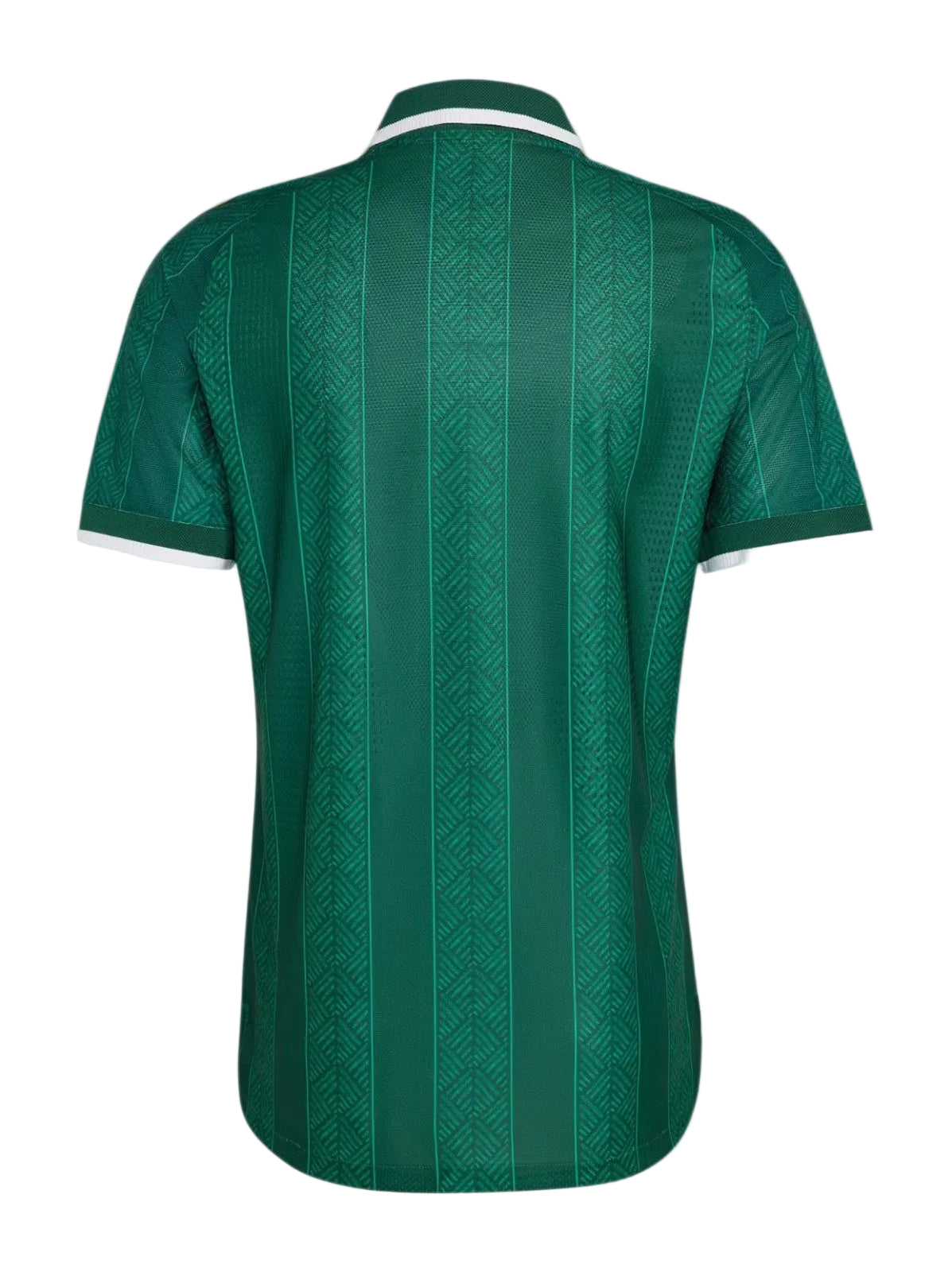 Camiseta Sudáfrica 2026 - 2ª Equipación