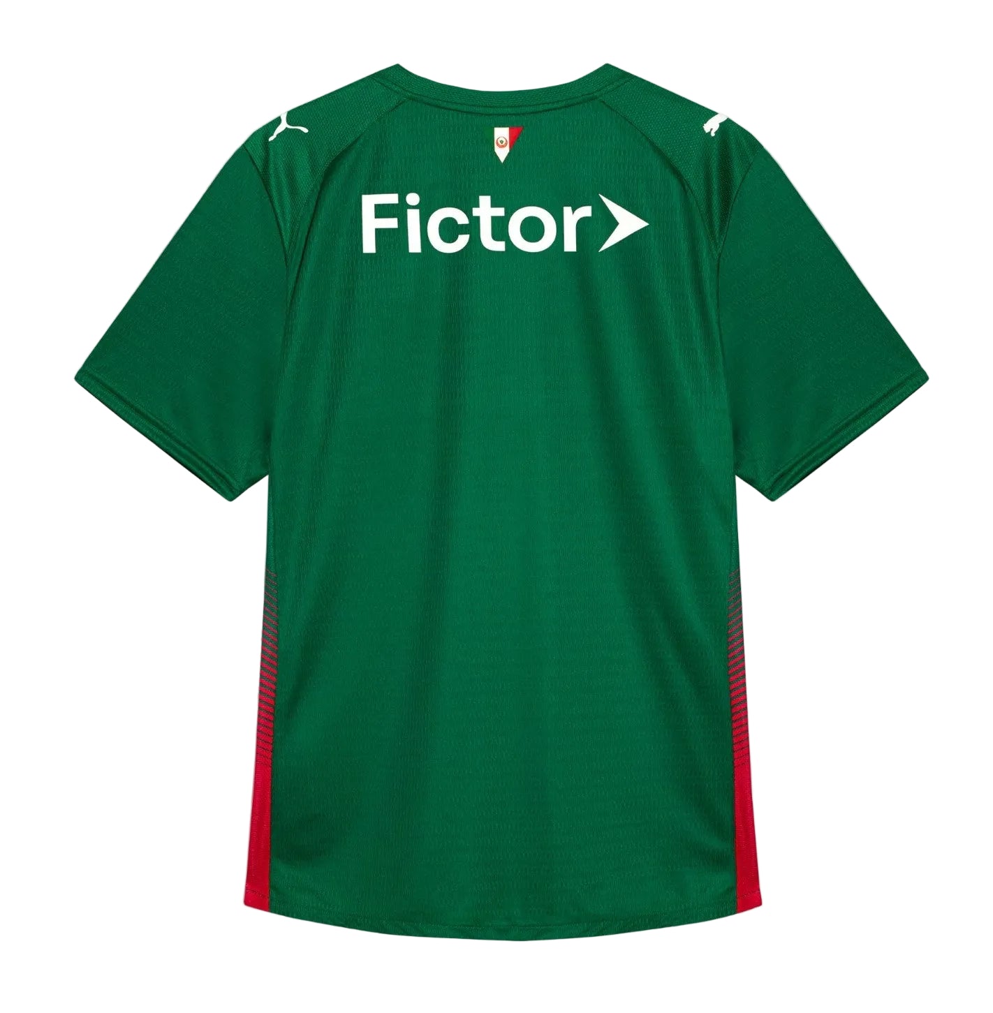 Camiseta Palmeiras 2025/26 - 1ª Equipación
