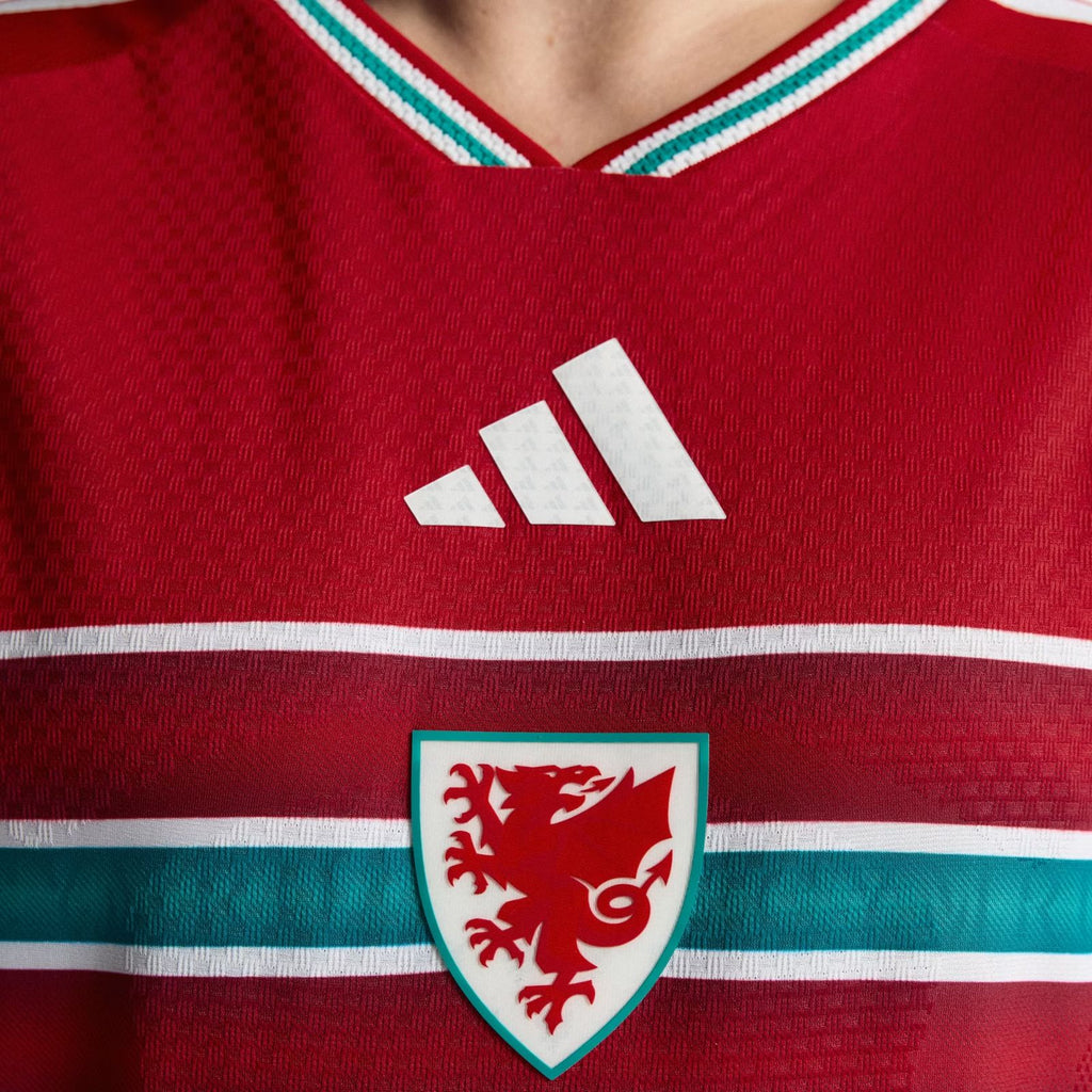 Camiseta Gales 2026 - 1ª Equipación