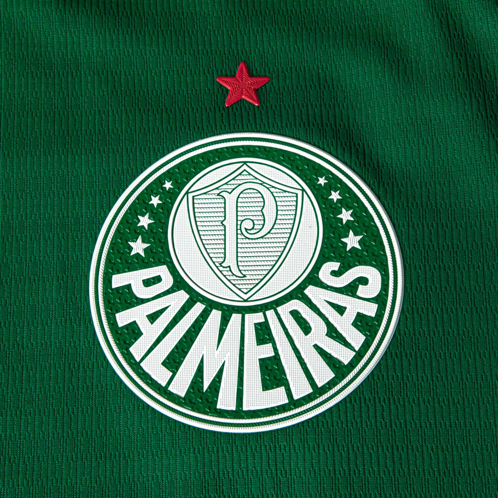 Camiseta Palmeiras 2025/26 - 1ª Equipación