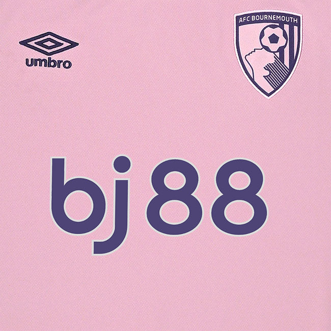 Camiseta Bournemouth 2025/26 - 3ª Equipación