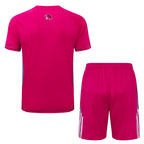 Conjunto de Entrenamiento Corto Flamengo - 2025/26