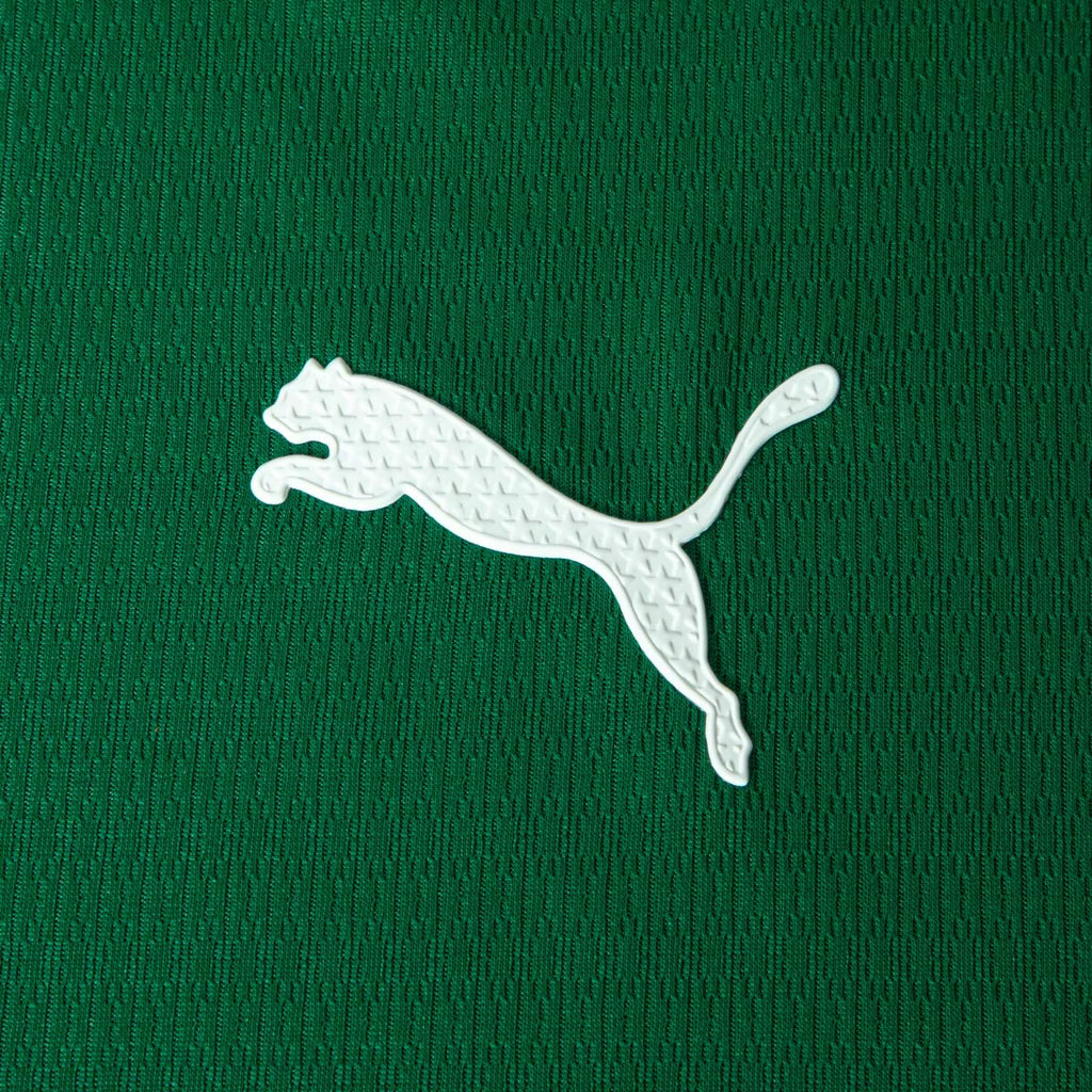 Camiseta Palmeiras 2025/26 - 1ª Equipación