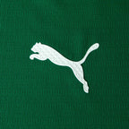 Camiseta Palmeiras 2025/26 - 1ª Equipación