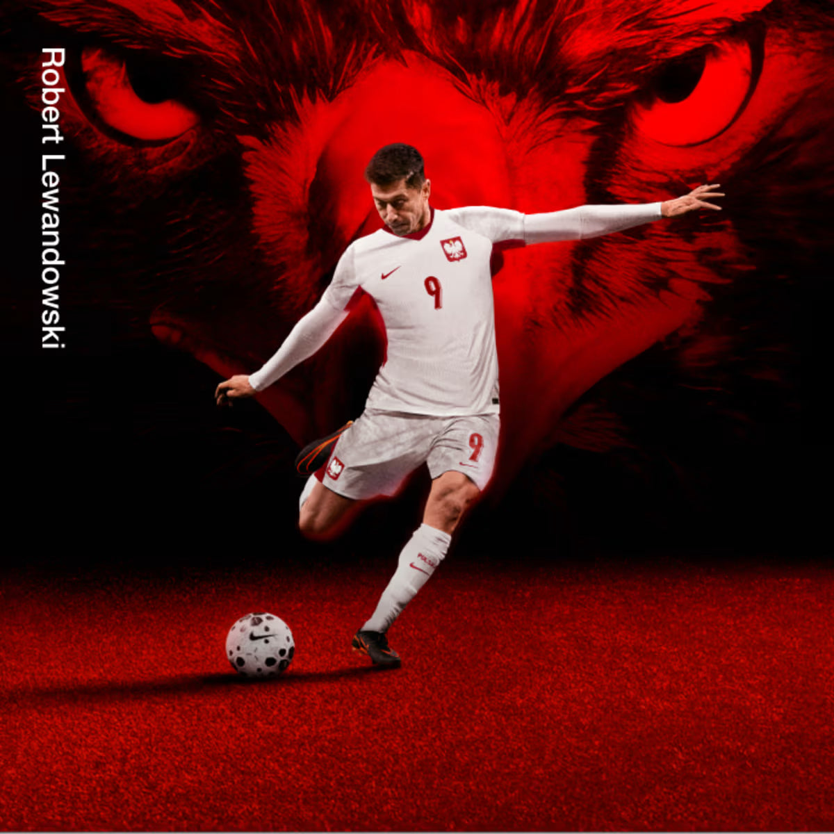 Camiseta Polonia 2026 - 1ª Equipación