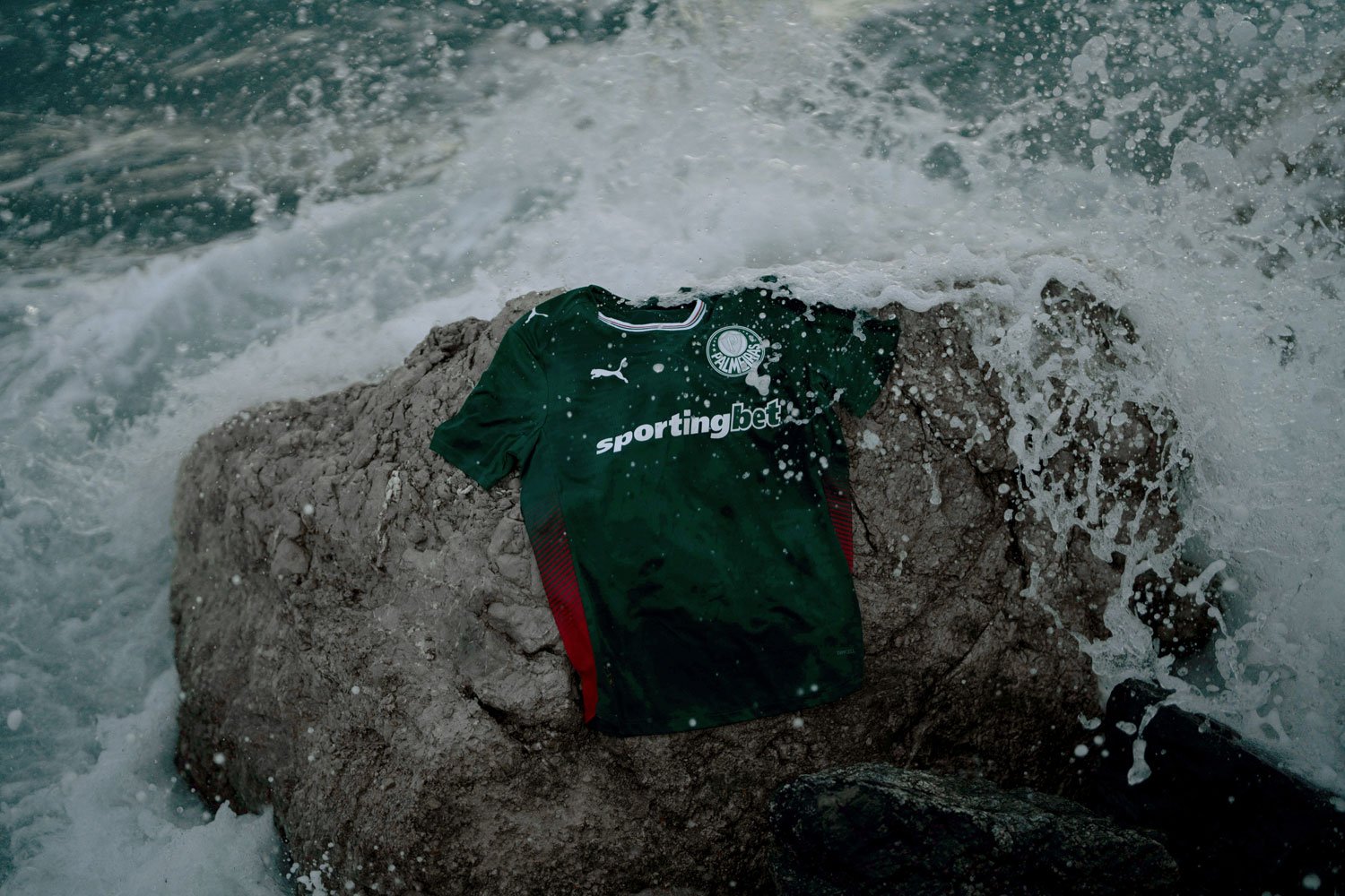 Camiseta Palmeiras 2025/26 - 1ª Equipación