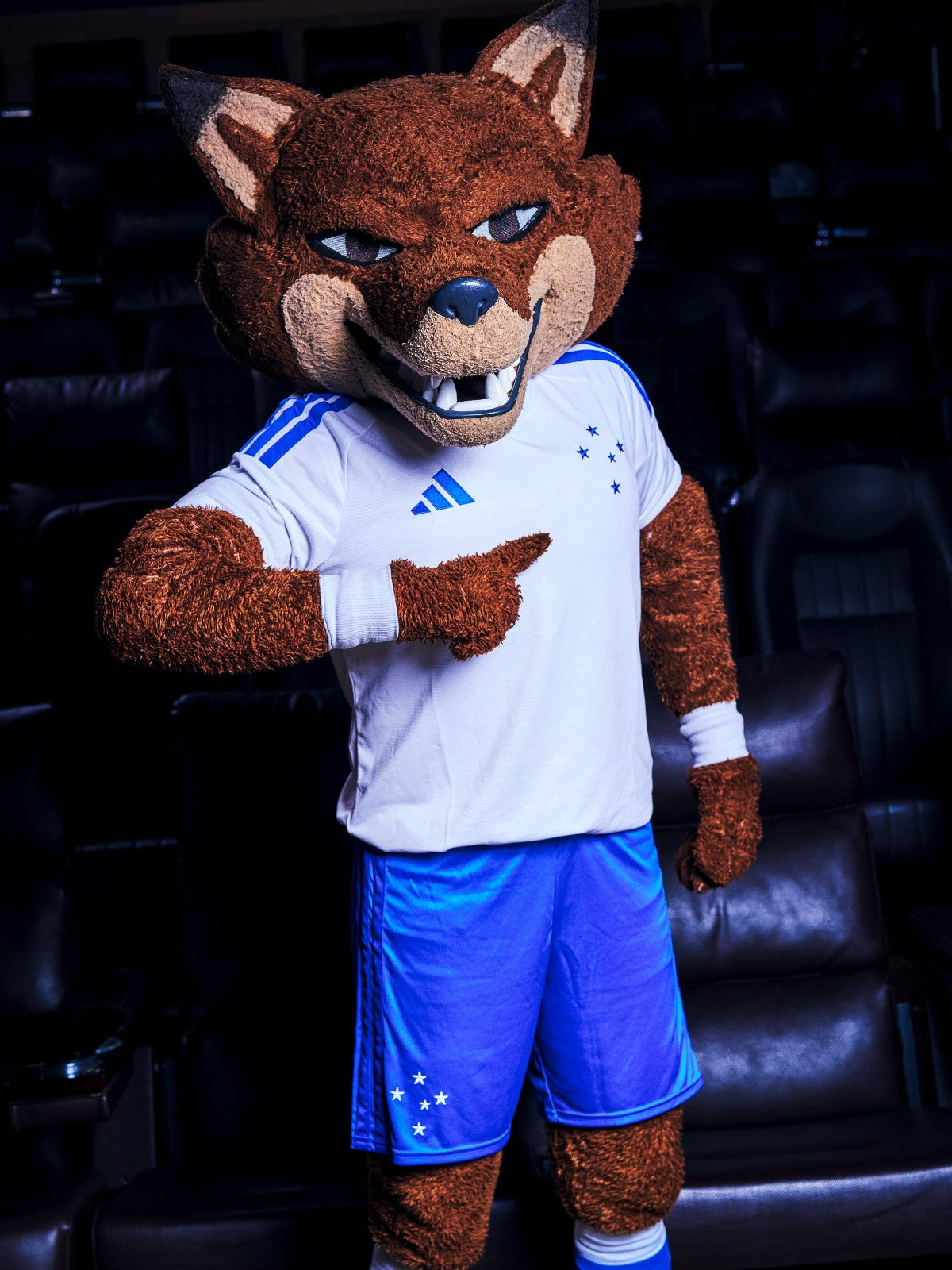 Camiseta Cruzeiro 2025/26 - 2ª Equipación
